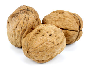 Walnut