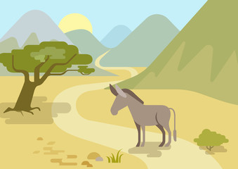 Donkey flat design cartoon vector wild animals