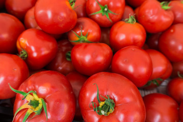 red tomatoes at the market. Fresh ripe tomatoes