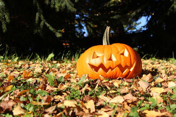 gruseliger Helloween-K&uuml;rbis im Laub