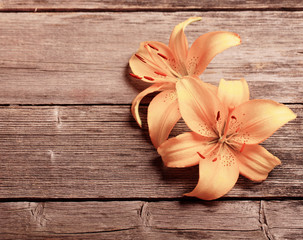orange  lily on wooden background