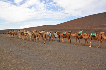 Fototapeta na wymiar pastores y camellos