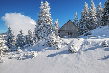 house
