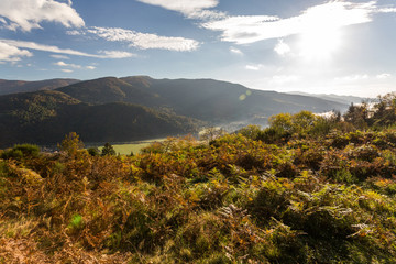 Montagne et vallée dans les Vosges en automne