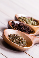 Spices set.Various seasonings for cooking, anise, cardamom