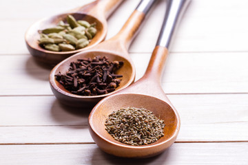 Spices set.Various seasonings for cooking, anise, cardamom