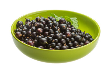 Black currant