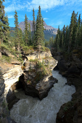 Obraz premium Maligne Canyon