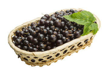 Black currant