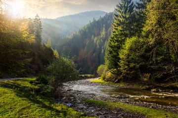 Fotobehang bos rivier in de bergen © Pellinni