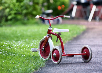 red child tricycle in a garden - obrazy, fototapety, plakaty
