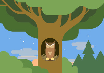 Owl hollow forest habitat flat cartoon vector wild animal bird