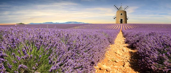 Deurstickers France - Provence © Phil_Good
