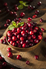 Raw Organic Red Cranberries