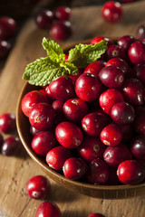 Raw Organic Red Cranberries