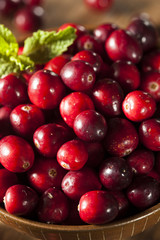 Raw Organic Red Cranberries