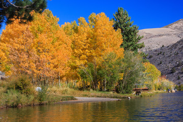 Bishop, Autumn, Fall Color