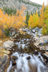 Bishop, Autumn, Fall Color