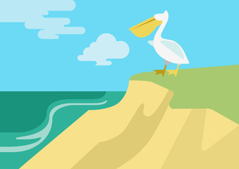 Pelican beach flat design cartoon vector wild animals birds
