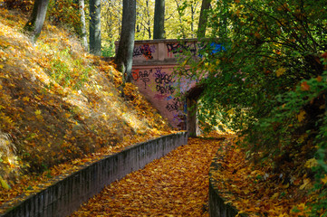 Old bridge at Autumn park in Riga