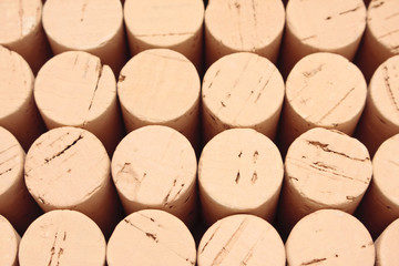 Rows of corks