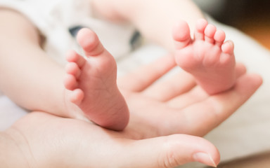 baby feet on the mother's palm