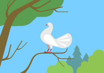 Dove pigeon on tree branch flat cartoon vector wild animal bird