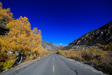 Bishop, Autumn, Fall Color