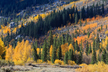 Bishop, Autumn, Fall Color