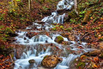 Fototapeta na wymiar Enchanted Autumn Forrest Creek