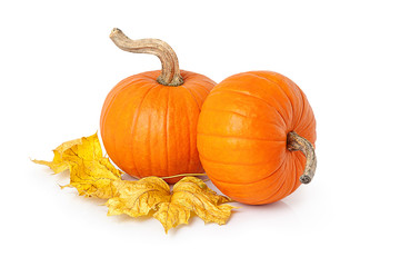 Pumpkins and yellow leaves, isolated on white.