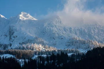 Fotobehang Winter Alps © Stockr