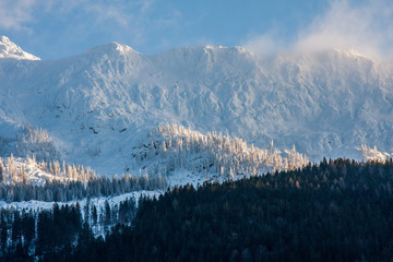 Obraz premium Winter Alps
