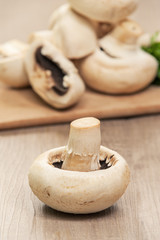 Fresh organic mushrooms