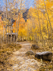 Bishop, Autumn, Fall Color