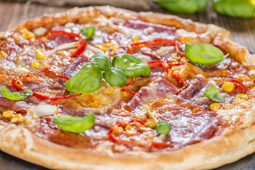 Homemade Salami Pizza