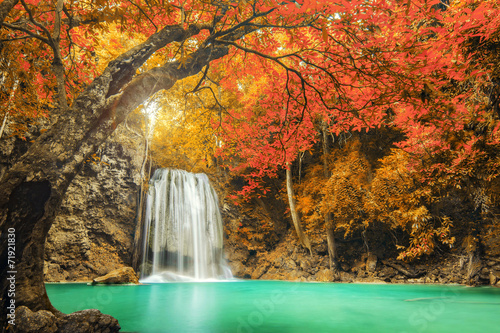 Осенний лес с водопадом бесплатно