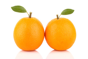 fresh orange isolated on white background