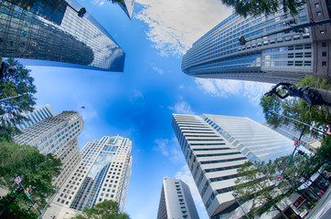 Fototapeta na wymiar Financial skyscraper buildings in Charlotte North Carolina USA