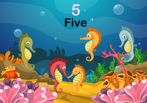 number five sea horse under the sea vector