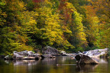 Wilson Creek autumn 16