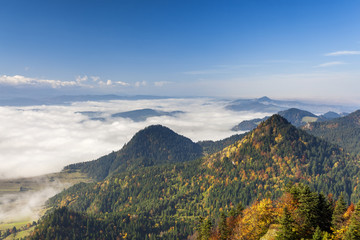Pieniny Mountains - view from the top