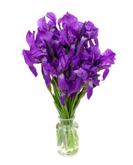 bunch of iris flowers