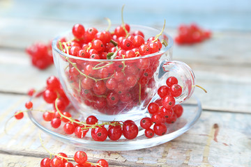 red currant