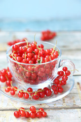 red currant