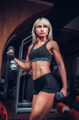 Fototapeta na wymiar fitness woman doing exercises with dumbbell in the gym