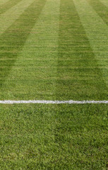 Natural green grass soccer field