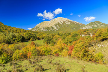 autumn in mountain