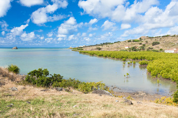 Fototapeta na wymiar Rodrigues, île Diamant, côte Nord et mangrove
