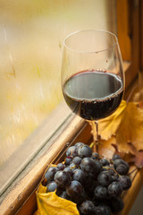 Autumn red wine
